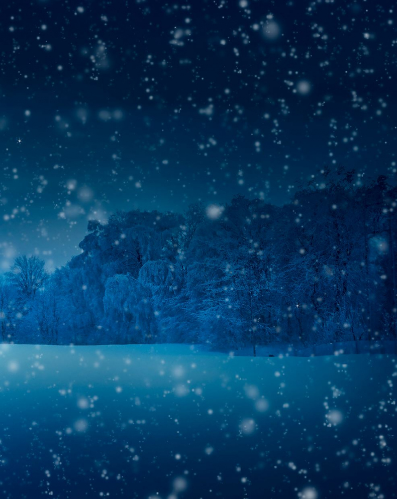 Иллюстрация к книге — Кёльн. Ярмарка чудес [i_020.jpg]