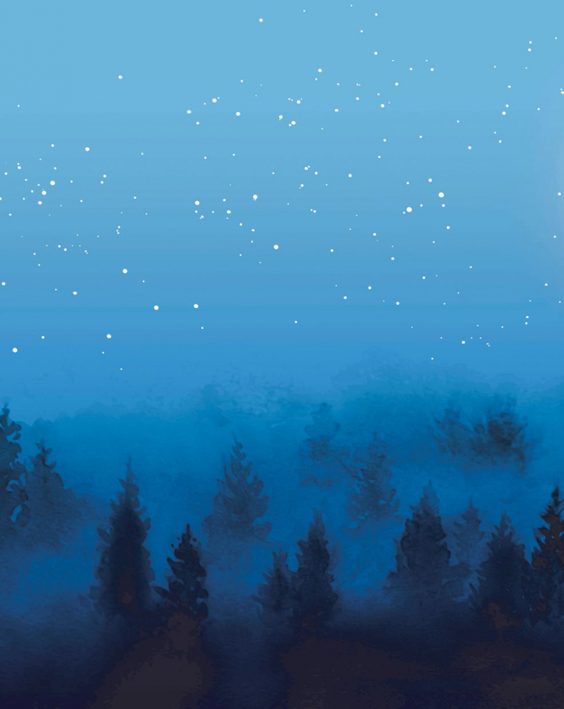 Иллюстрация к книге — Кёльн. Ярмарка чудес [i_024.jpg]