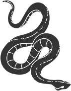 Иллюстрация к книге — Книга о бесценной субстанции [i_002.jpg]