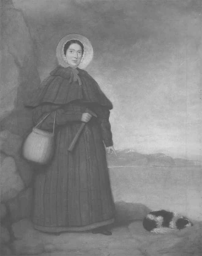 Иллюстрация к книге — Молния. История о Мэри Эннинг [i_004.jpg]