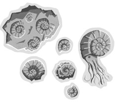 Иллюстрация к книге — Молния. История о Мэри Эннинг [i_010.jpg]