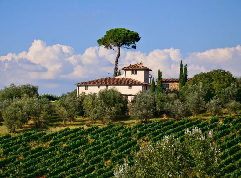 Иллюстрация к книге — (Не) по любви [_27.jpg]