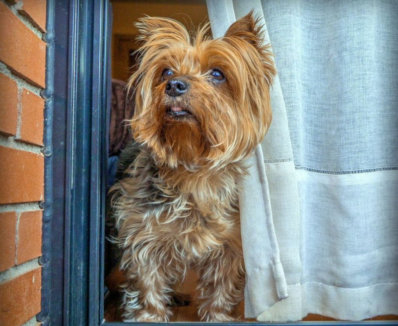 Иллюстрация к книге — (Не) по любви [_4.jpg]