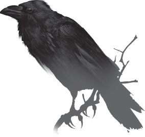 Иллюстрация к книге — Смерть в Сонагачи [i_001.jpg]