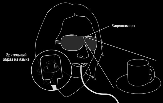 Иллюстрация к книге — Живой мозг. Удивительные факты о нейропластичности и возможностях мозга [img_20.jpg]