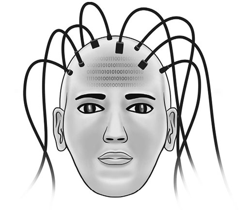 Иллюстрация к книге — Живой мозг. Удивительные факты о нейропластичности и возможностях мозга [img_28.jpg]