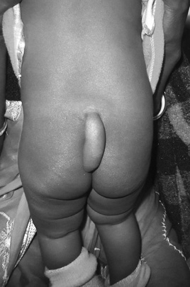 Иллюстрация к книге — Живой мозг. Удивительные факты о нейропластичности и возможностях мозга [img_30.jpg]