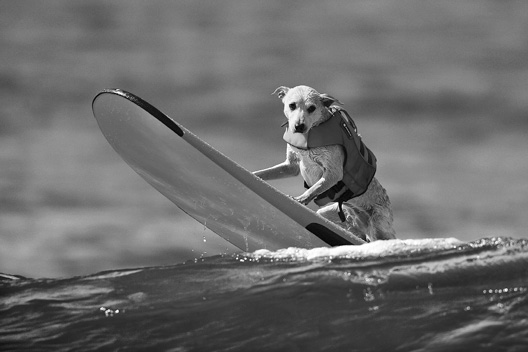 Иллюстрация к книге — Живой мозг. Удивительные факты о нейропластичности и возможностях мозга [img_35.jpg]