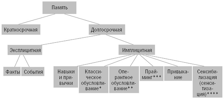 Иллюстрация к книге — Живой мозг. Удивительные факты о нейропластичности и возможностях мозга [img_61.jpg]