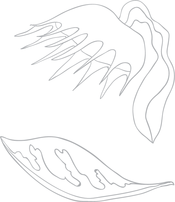 Иллюстрация к книге — Токсичные родители. Как вернуть себе нормальную жизнь [i_001.jpg]