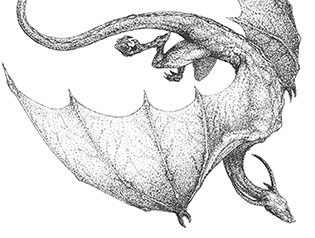 Иллюстрация к книге — Ярость огня [i_013.jpg]