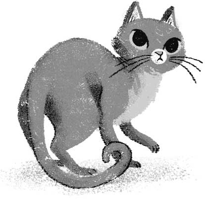 Иллюстрация к книге — Девочка, приручившая Тьму [i_003.jpg]