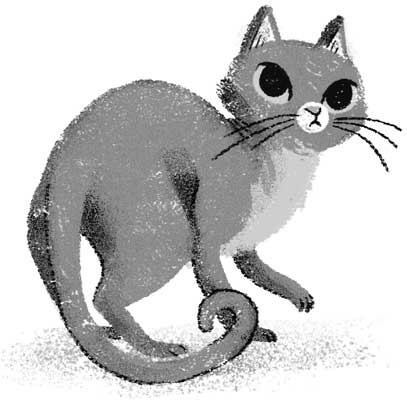 Иллюстрация к книге — Девочка, приручившая Тьму [i_018.jpg]