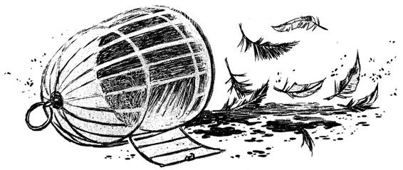 Иллюстрация к книге — Кошачья голова [i_014.jpg]