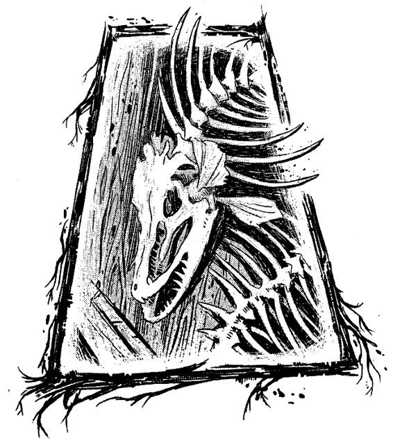 Иллюстрация к книге — Кошачья голова [i_019.jpg]