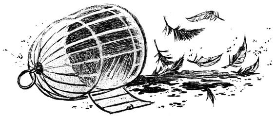 Иллюстрация к книге — Кошачья голова [i_026.jpg]