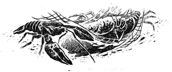 Иллюстрация к книге — Кошачья голова [i_036.jpg]