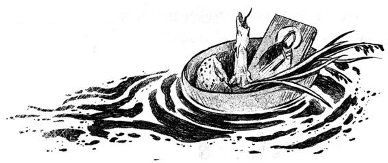 Иллюстрация к книге — Кошачья голова [i_040.jpg]