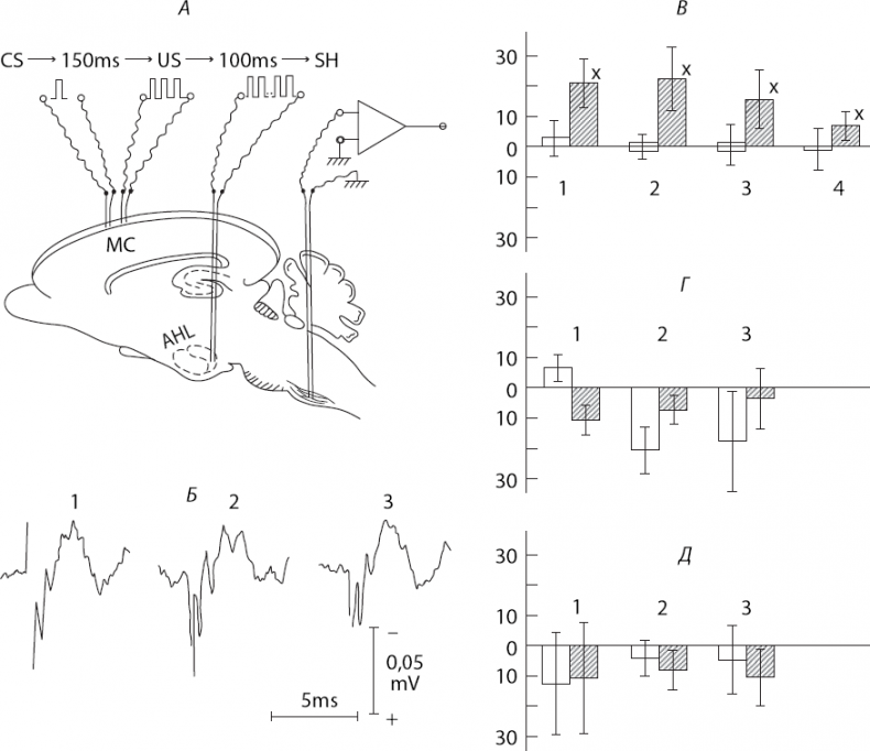 Иллюстрация к книге — Мотивированный мозг. Высшая нервная деятельность и естественно-научные основы общей психологии [i_005.jpg]