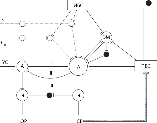 Иллюстрация к книге — Мотивированный мозг. Высшая нервная деятельность и естественно-научные основы общей психологии [i_006.jpg]