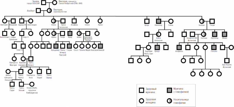 Иллюстрация к книге — Memento mori. История человеческих достижений в борьбе с неизбежным [i_033.jpg]