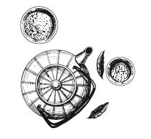 Иллюстрация к книге — Алые сердца [i_005.jpg]