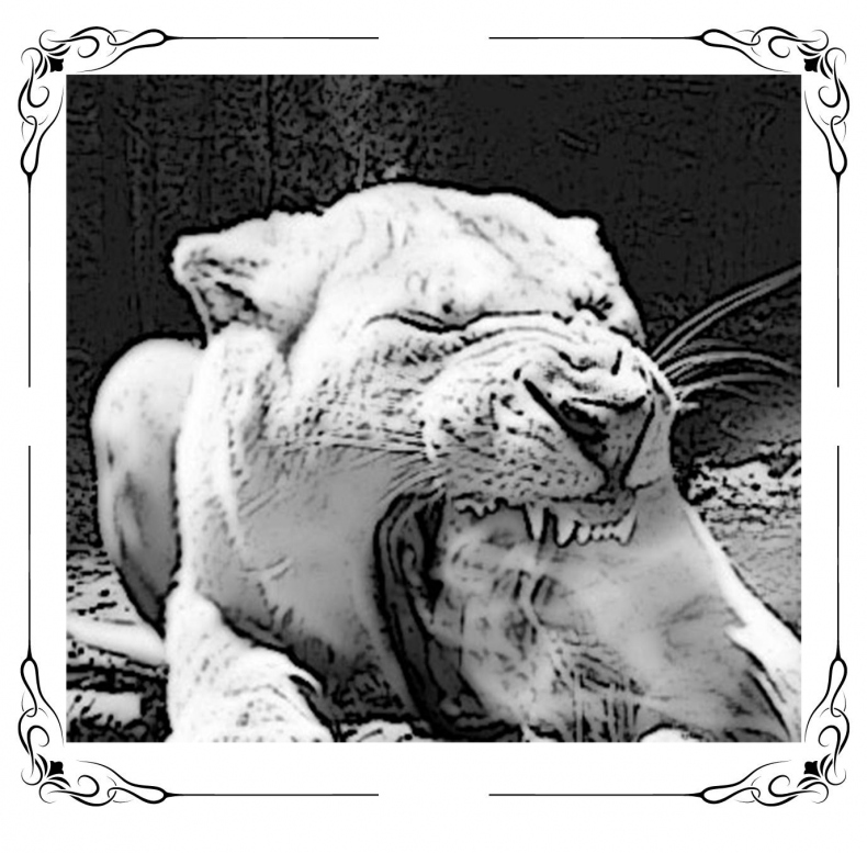 Иллюстрация к книге — Вдоль границы тумана [_1.jpg]