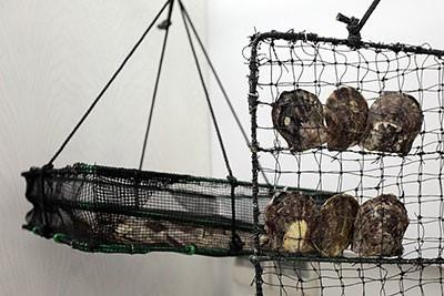 Иллюстрация к книге — Шрам [img3.jpg]