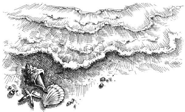 Иллюстрация к книге — Вкус свободы [img_3.jpg]