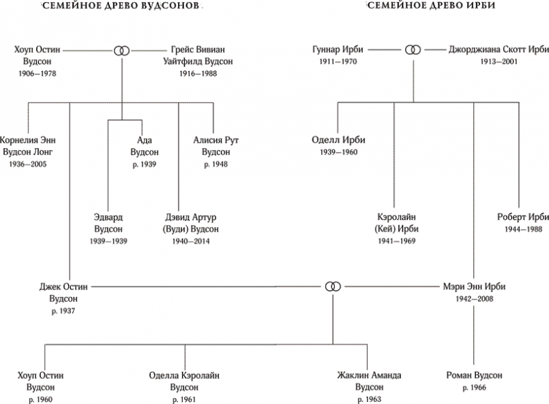 Иллюстрация к книге — Мечты темнокожей девочки [i_001.jpg]