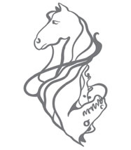 Иллюстрация к книге — Демонология Сангомара. Наследие вампиров [i_003.jpg]