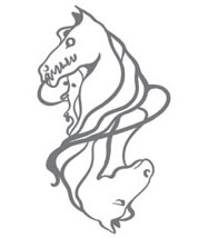 Иллюстрация к книге — Демонология Сангомара. Наследие вампиров [i_005.jpg]