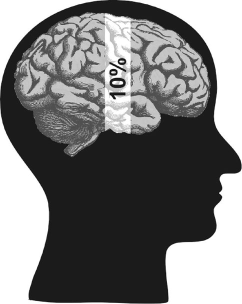 Иллюстрация к книге — Революция в голове. Как новые нервные клетки омолаживают мозг [i_003.jpg]