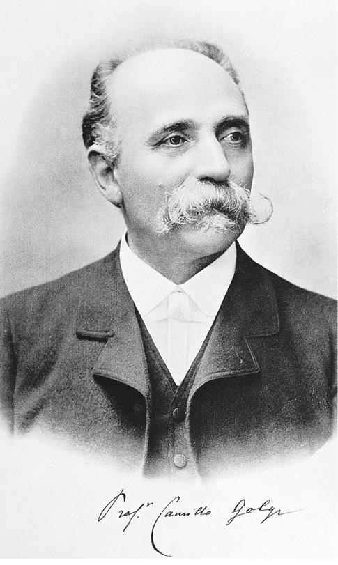 Иллюстрация к книге — Революция в голове. Как новые нервные клетки омолаживают мозг [i_009.jpg]