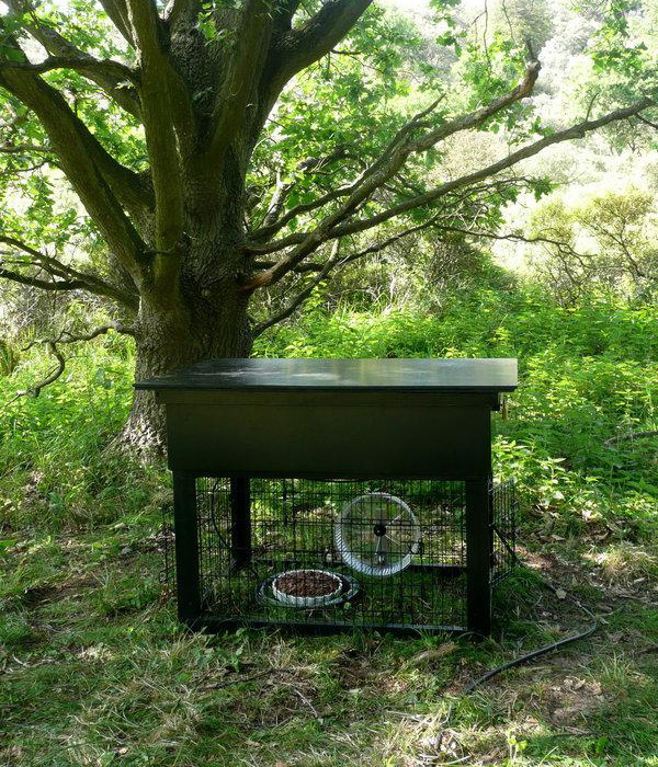 Иллюстрация к книге — Революция в голове. Как новые нервные клетки омолаживают мозг [i_023.jpg]