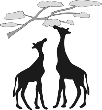 Иллюстрация к книге — Революция в голове. Как новые нервные клетки омолаживают мозг [i_027.jpg]