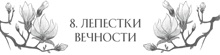 Иллюстрация к книге — Сон в тысячу лет [i_014.jpg]