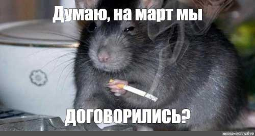 Иллюстрация к книге — Экстрасенс. Назад в прошлое. Россия 2006 [i_011.jpg]