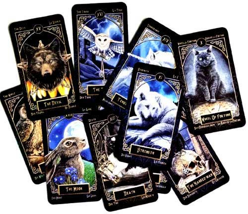 Иллюстрация к книге — Экстрасенс. Назад в прошлое. Россия 2006 [i_022.jpg]