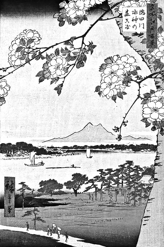 Иллюстрация к книге — Большая волна в Канагаве. Битва самурайских кланов [i_022.jpg]