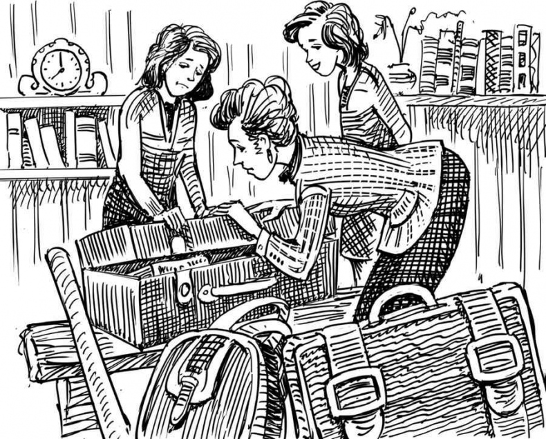 Иллюстрация к книге — Новые друзья близнецов в школе Сент-Клэр [i_002.jpg]