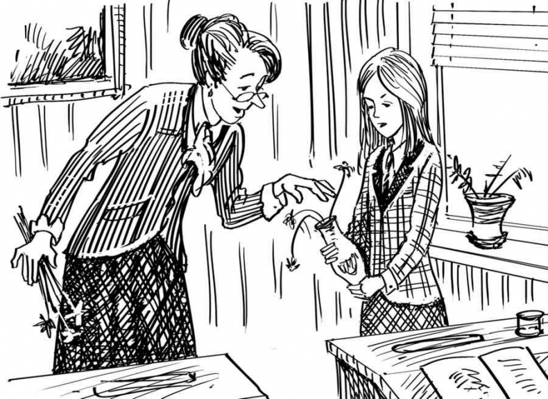 Иллюстрация к книге — Новые друзья близнецов в школе Сент-Клэр [i_016.jpg]