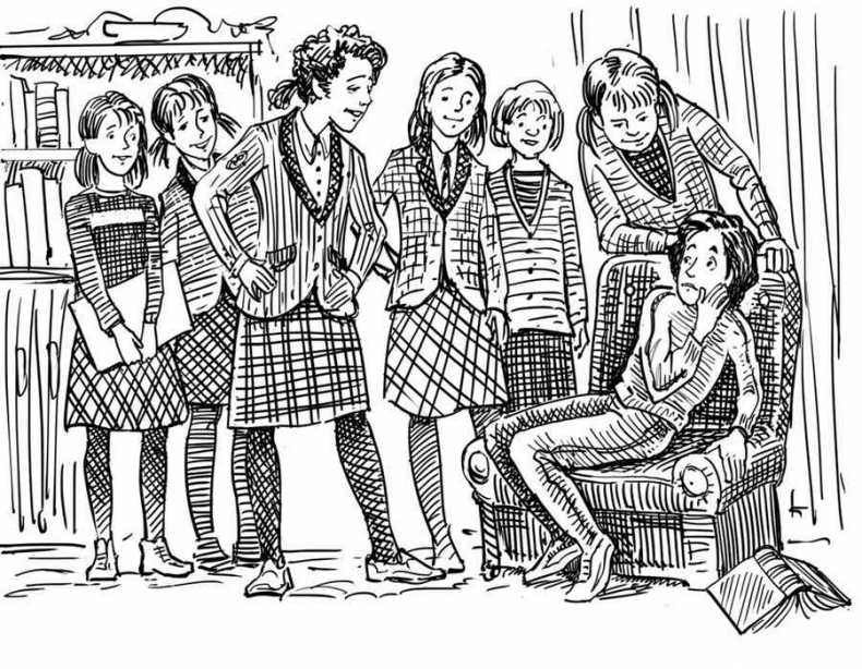 Иллюстрация к книге — Новые друзья близнецов в школе Сент-Клэр [i_021.jpg]