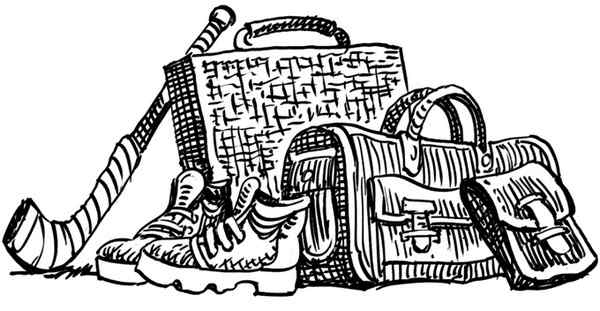 Иллюстрация к книге — Близнецы в школе Сент-Клэр [i_042.jpg]