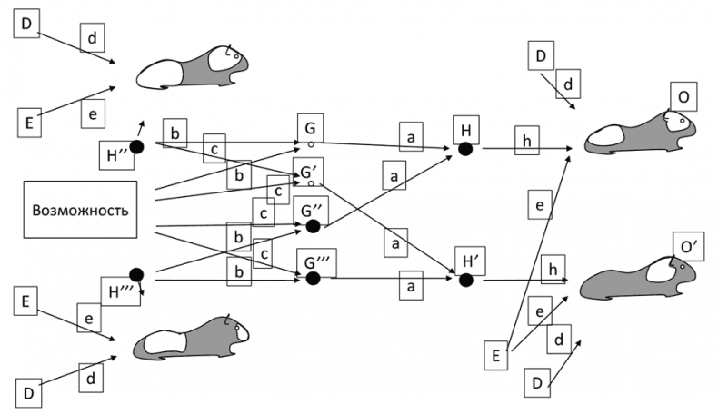 Иллюстрация к книге — Думай «почему?». Причина и следствие как ключ к мышлению [i_011.jpg]