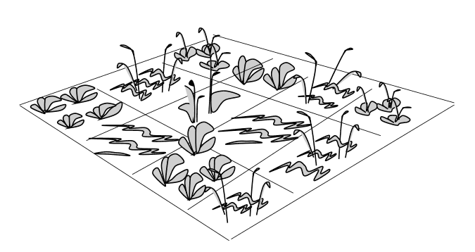 Иллюстрация к книге — Думай «почему?». Причина и следствие как ключ к мышлению [i_027.jpg]