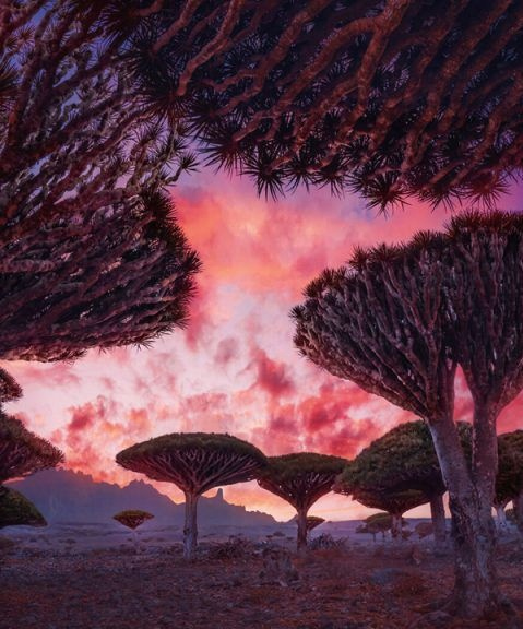 Иллюстрация к книге — Огни Аль-Тура. Единственная [_2ce849d1dd5a4aaba89d4b391bb6e09c.jpg]