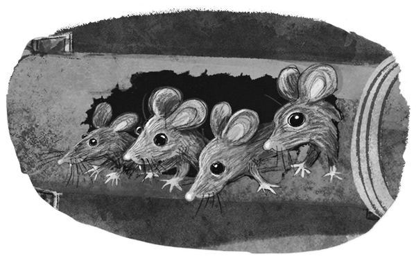 Иллюстрация к книге — Проклятие кошачьего папируса [i_021.jpg]