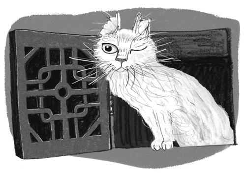 Иллюстрация к книге — Проклятие кошачьего папируса [i_027.jpg]