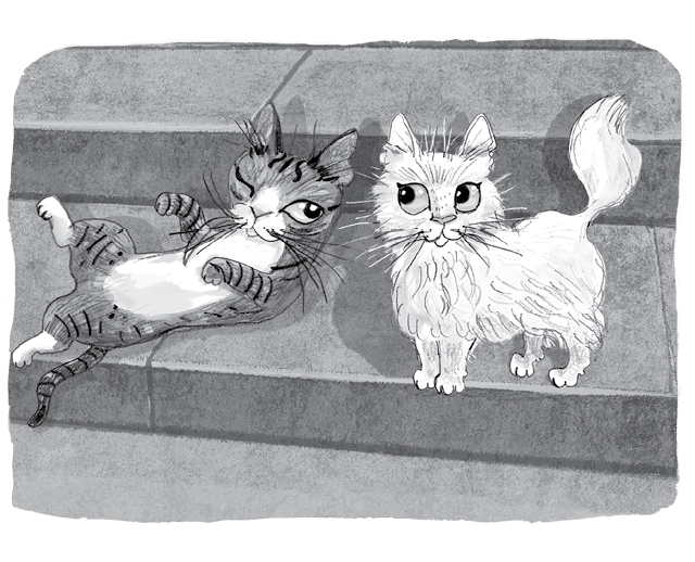 Иллюстрация к книге — Бутербродный вор [i_006.jpg]